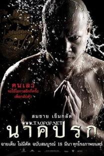 泰国电影罪孽在线观看,泰国惊悚电影，揭开复仇与救赎的黑暗面  第3张